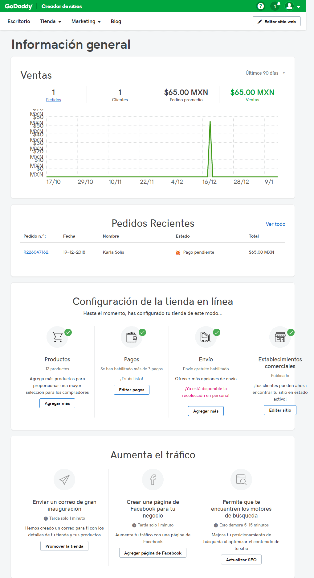 Paso 7 Panel de información general del creador de sitios de GoDaddy - como crear una tienda virtual