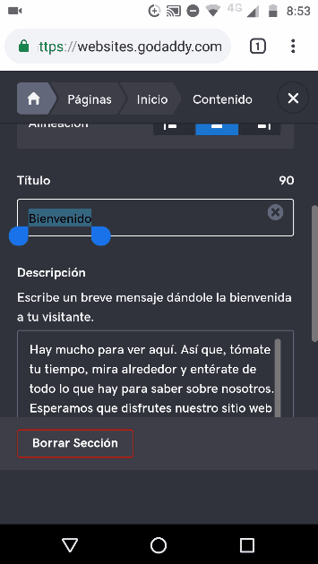 paso 5 crear seccion con texto de la empresa con un bloque de contenido