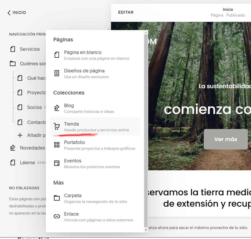 Agregar una tienda en línea a tu página web con Squarespace