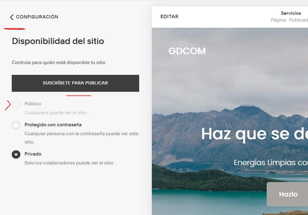 Publicar página web con Squarespace