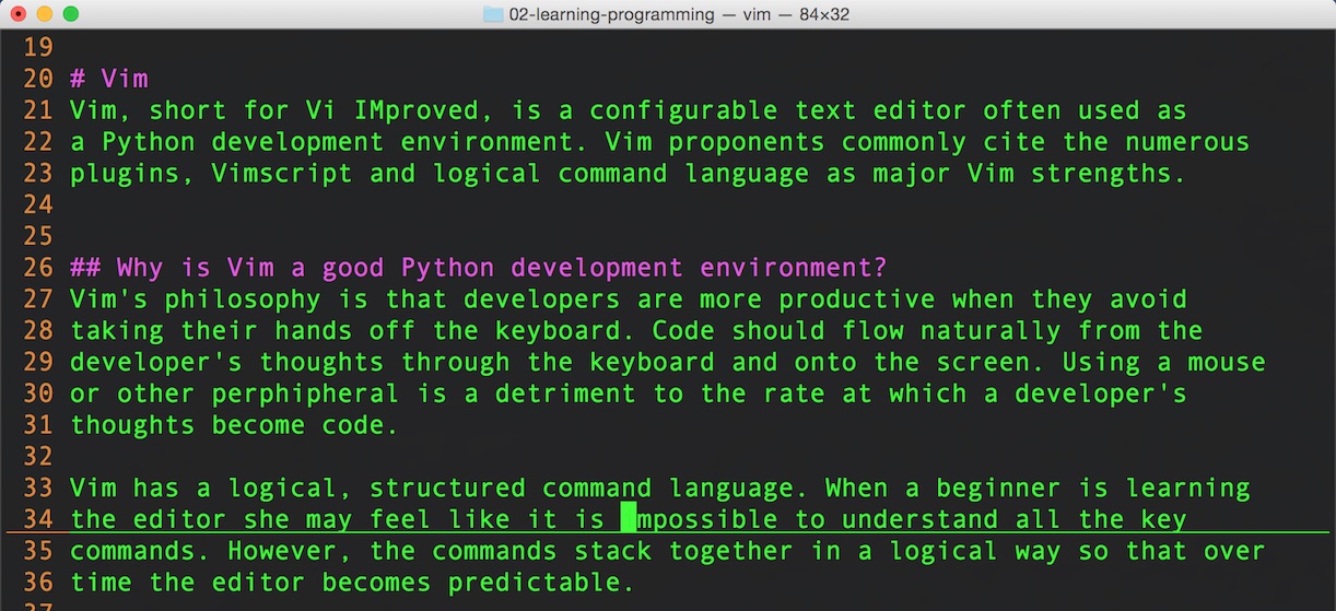 Vim con opciones de configuración básicas sobre un fondo oscuro.