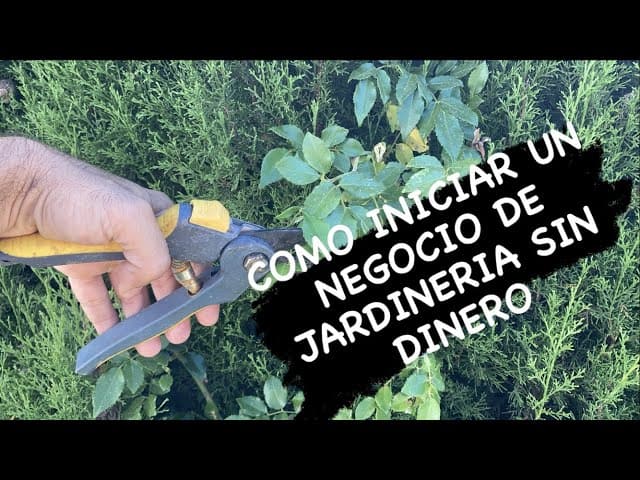 COMO INICIAR UN NEGOCIO DE JARDINERIA SIN DINERO