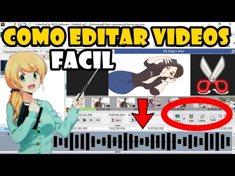 Como Aprender A Editar Un Video Y Como Crear Un Short O TIKTOK Con VIDEOPAD Fácil (SUPER EXPLICADO)