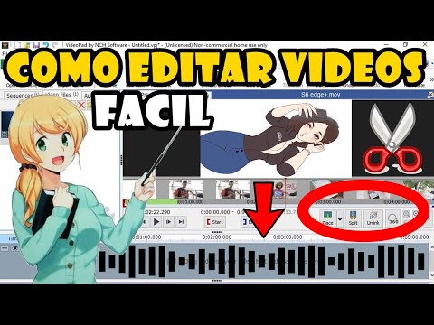 Como Aprender a Editar un Video y Como Crear un Short o TIKTOK con VIDEOPAD Fácil (SUPER EXPLICADO)