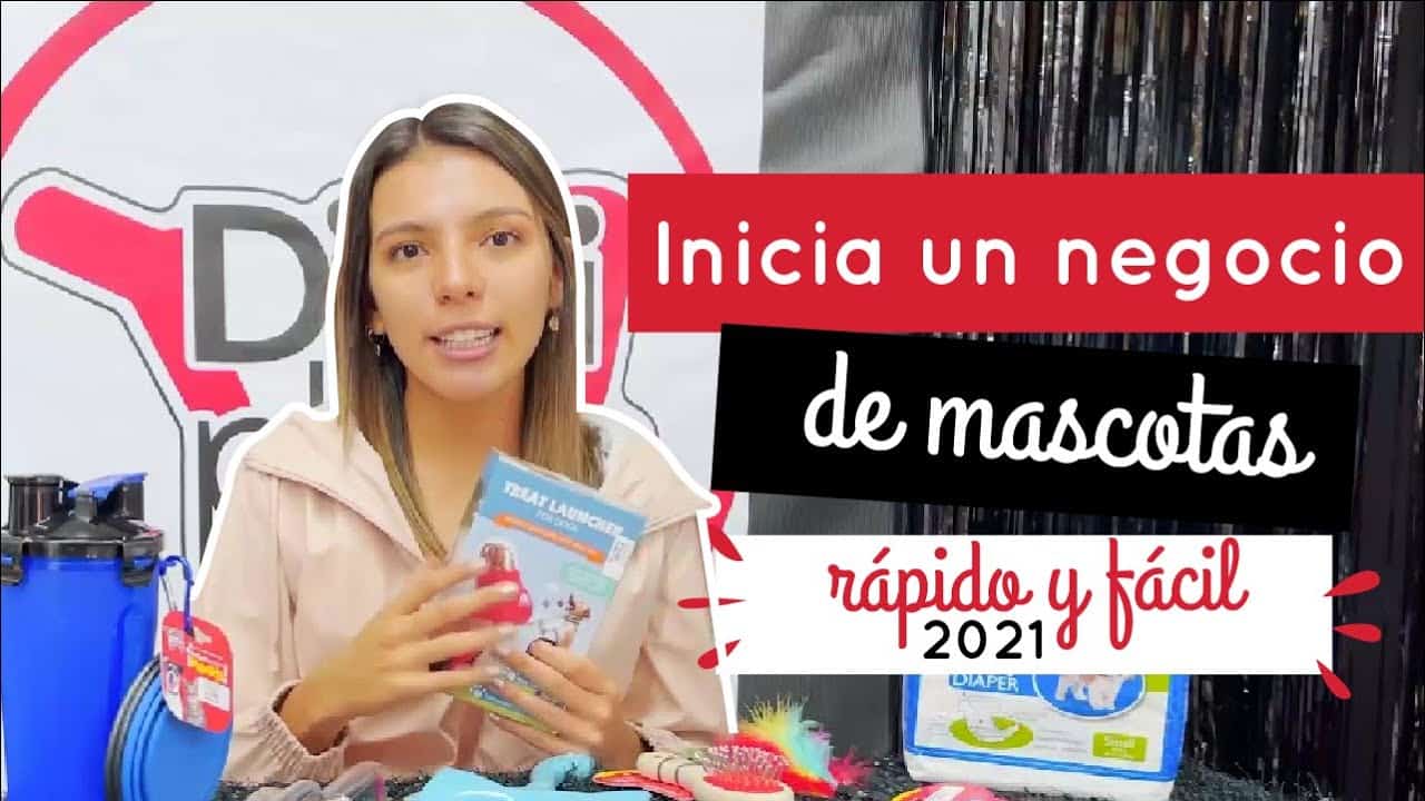 Cómo iniciar un negocio de mascotas