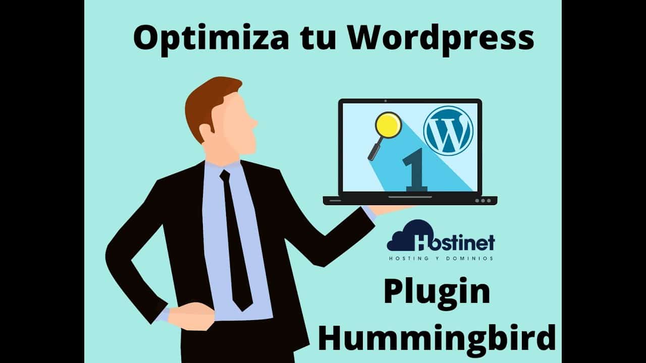 Cómo Optimizar Tu WordPress Con El Plugin Hummingbird
