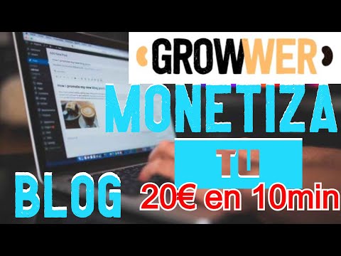 Growwer - Cómo monetizar tu blog de manera sencilla ¿Cómo funciona? Revisión