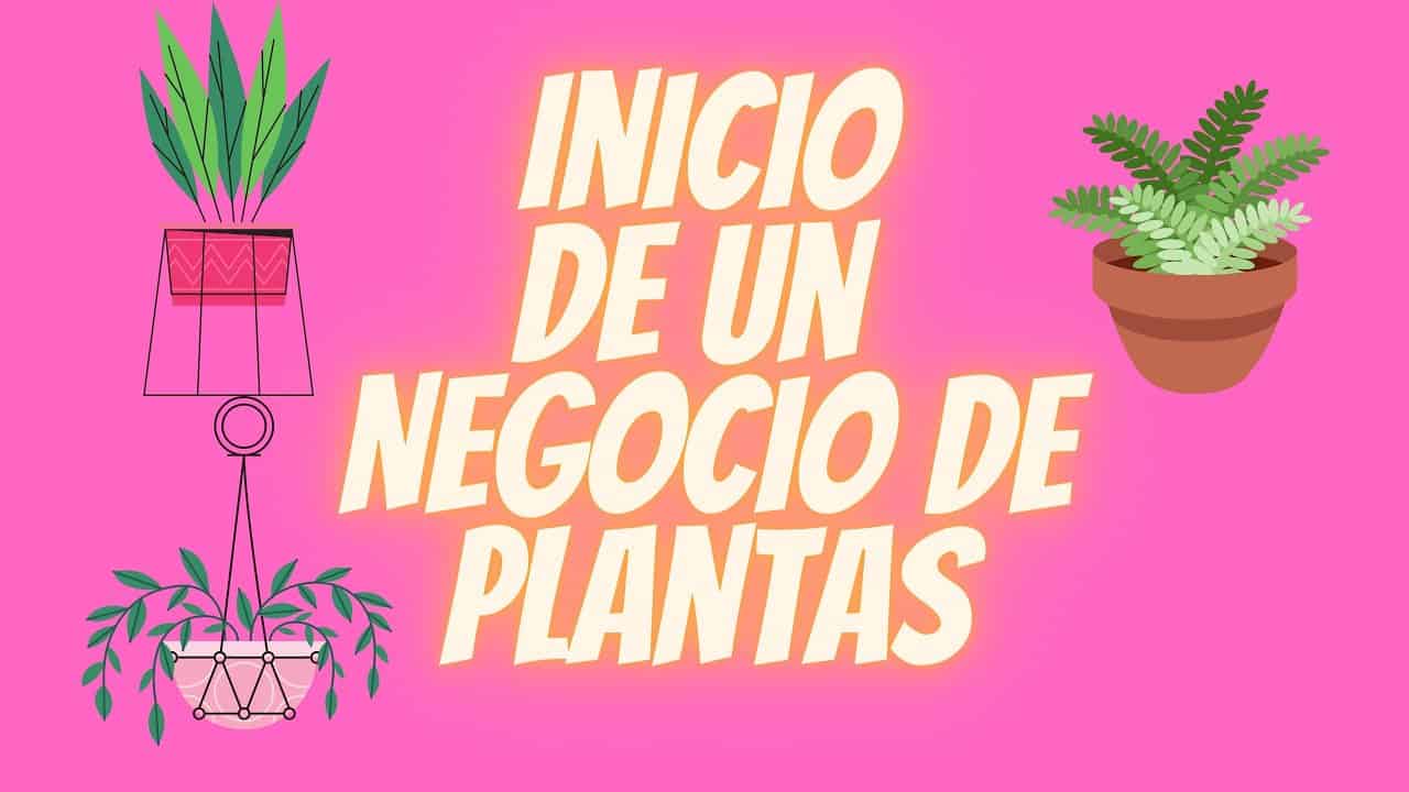 ¿CÓMO INICIAR UN NEGOCIO DE PLANTAS?¿QUÉ COSAS TENER EN CUENTA? @Enamorado De Las Plantas y Más