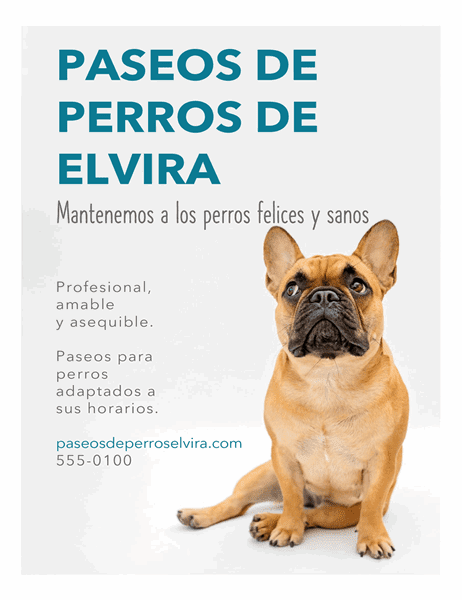 Anuncio para Pasear Perros 11317