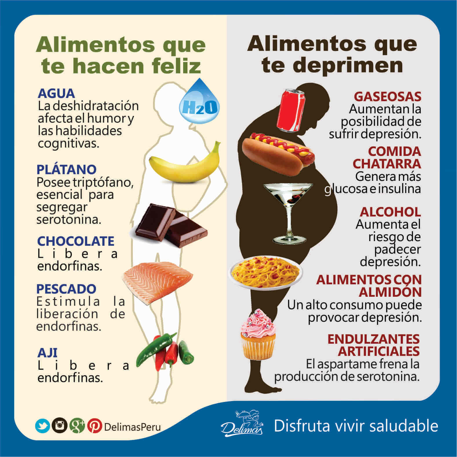 Cartel de Comida Saludable y Chatarra 11482