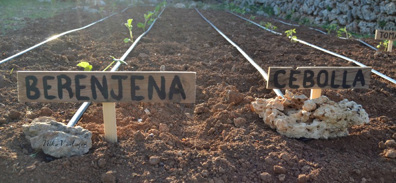 Cartel para Huerta 12115