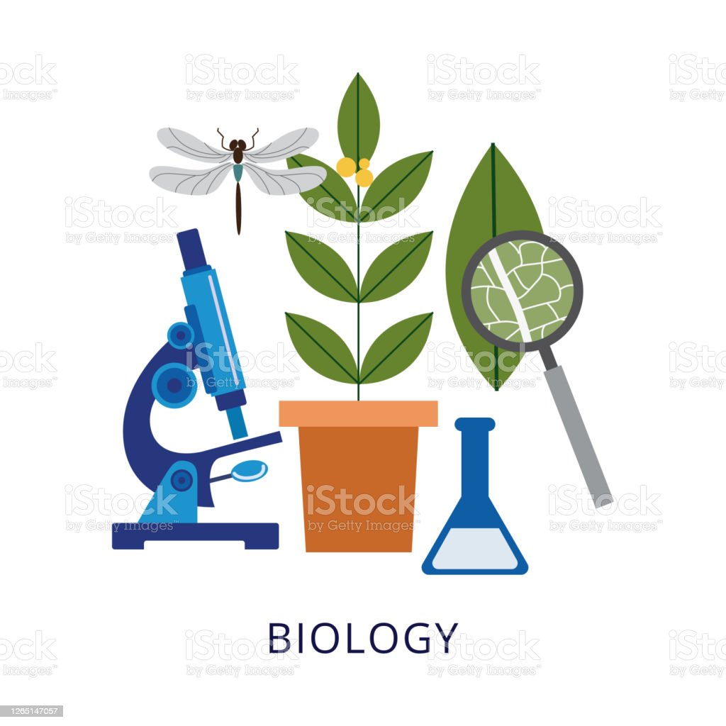 Ilustracion De Biologia 13960