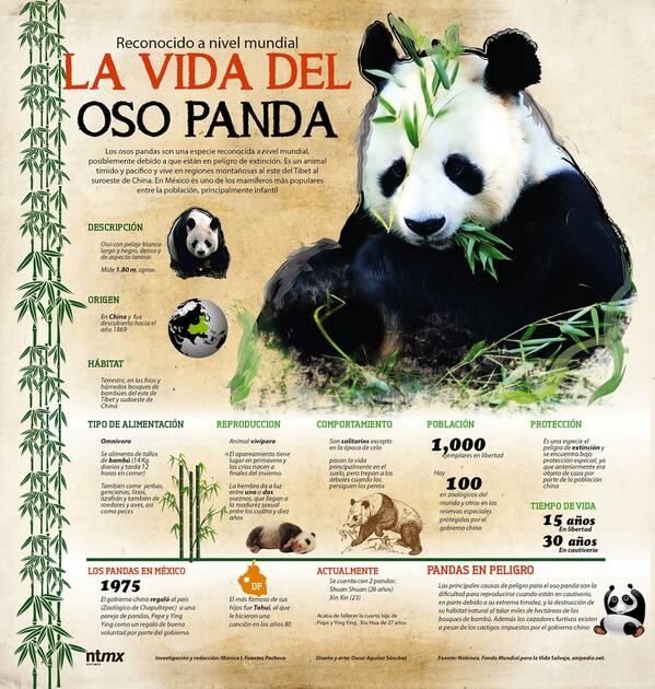 Infografia sobre Animales en Extincion 13183