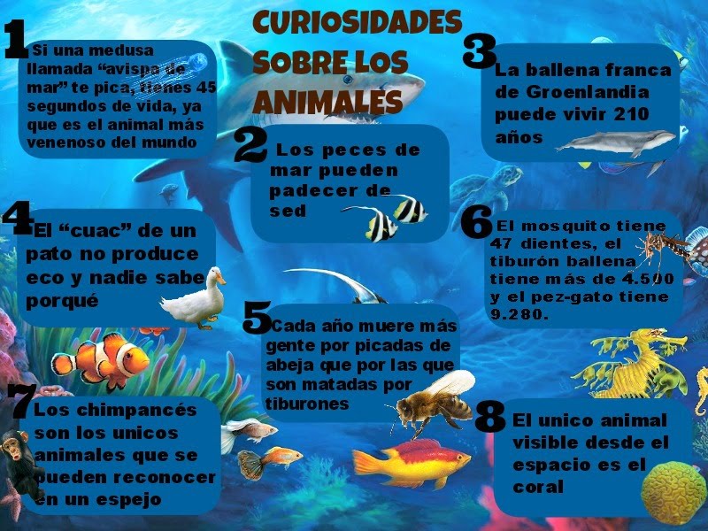 Infografia sobre Animales 13181