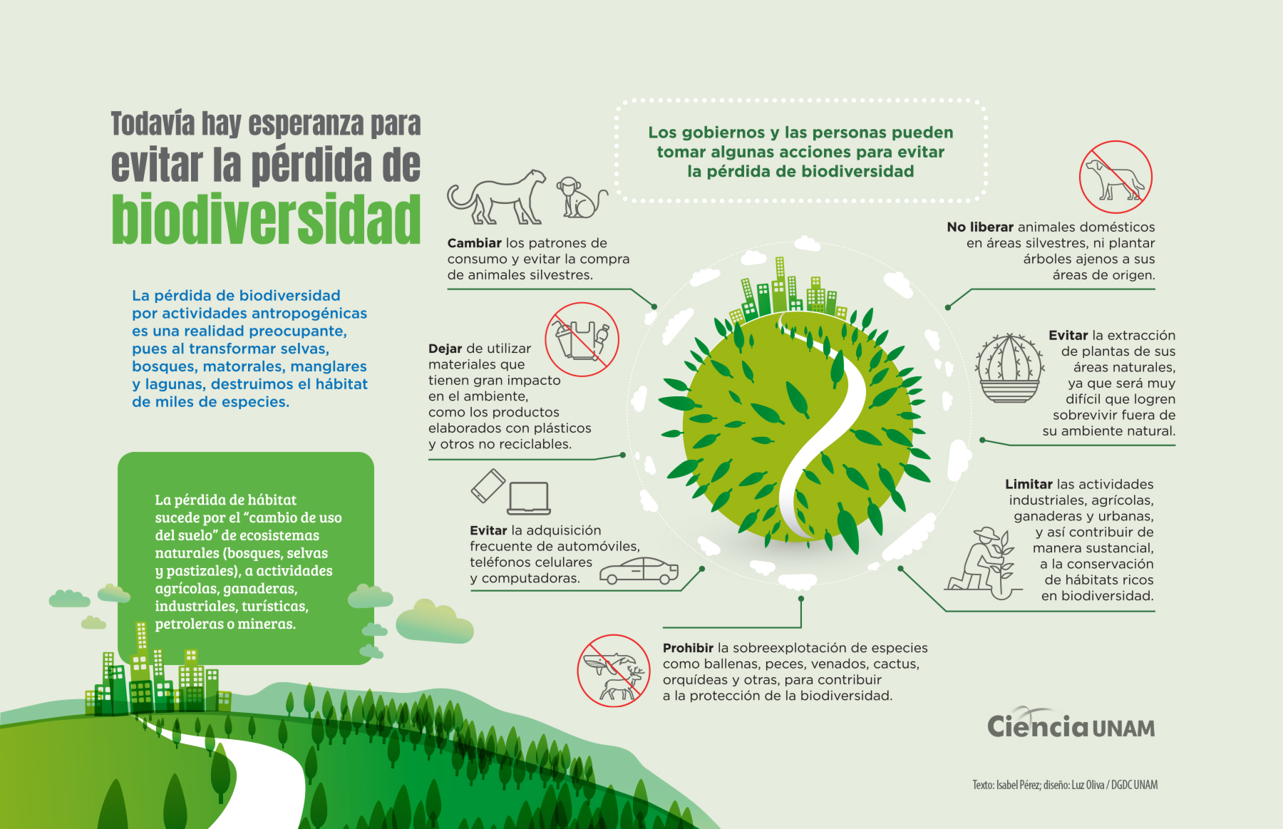 Infografia sobre Biodiversidad 13193