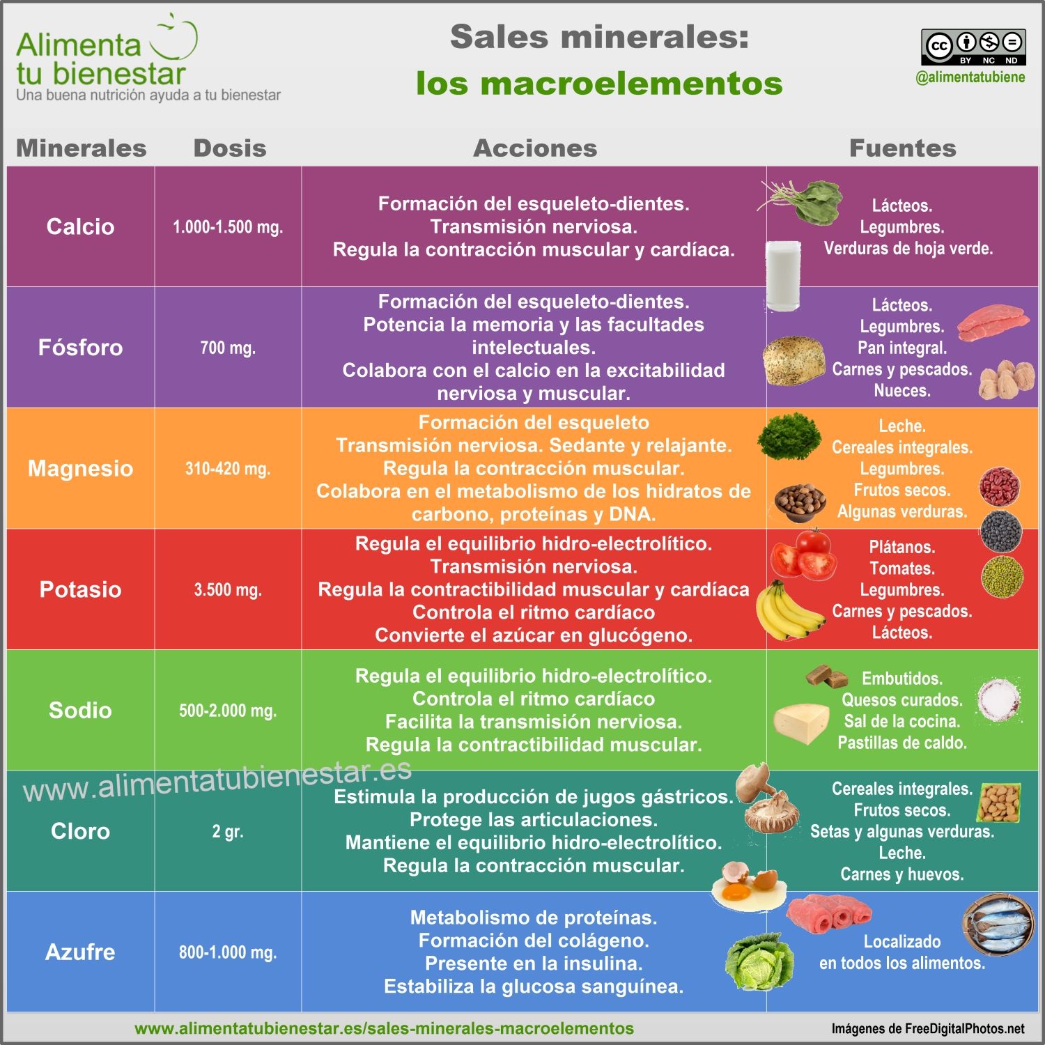 Infografia sobre Biomoleculas 13198