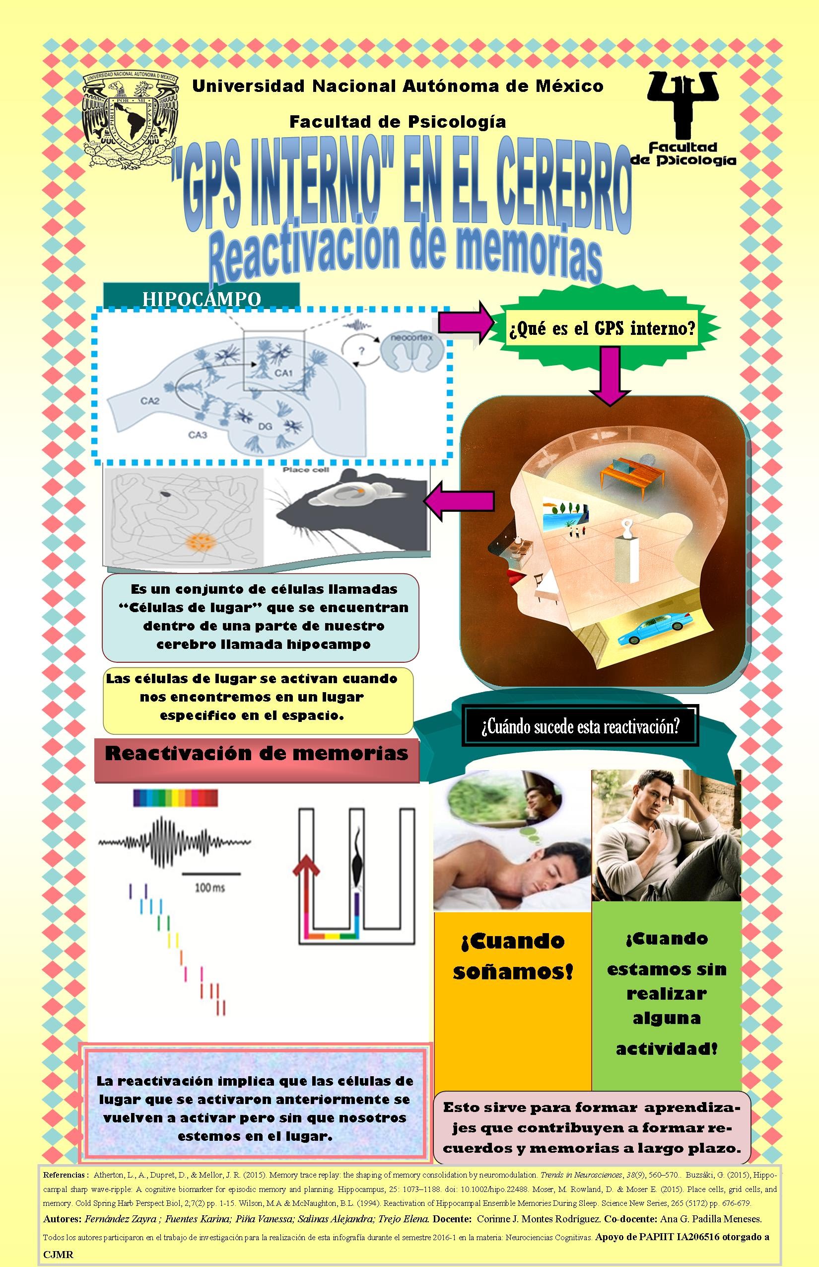 Infografia sobre El Microscopio Optico 13840