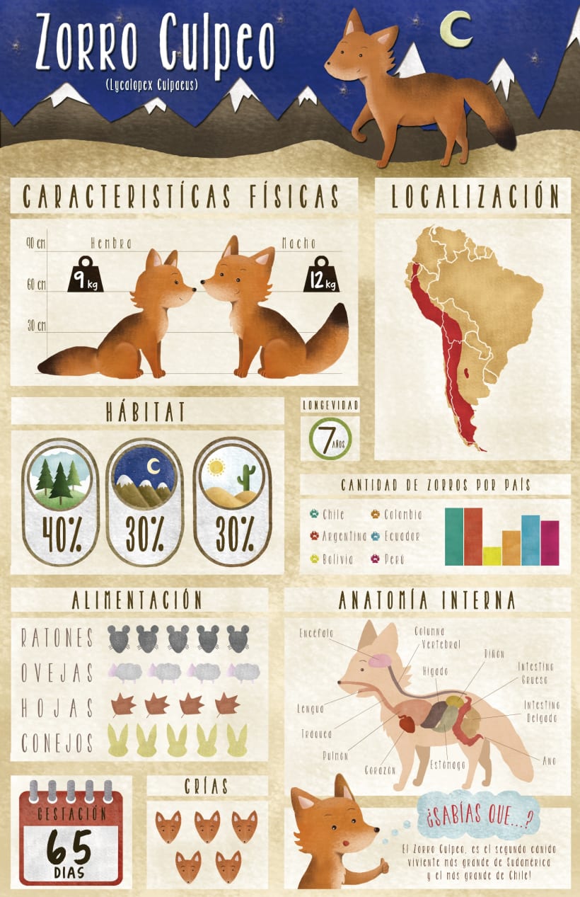 Infografia sobre El Zorro 13912