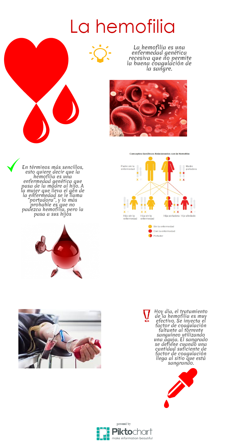 Infografia sobre Genetica 13243