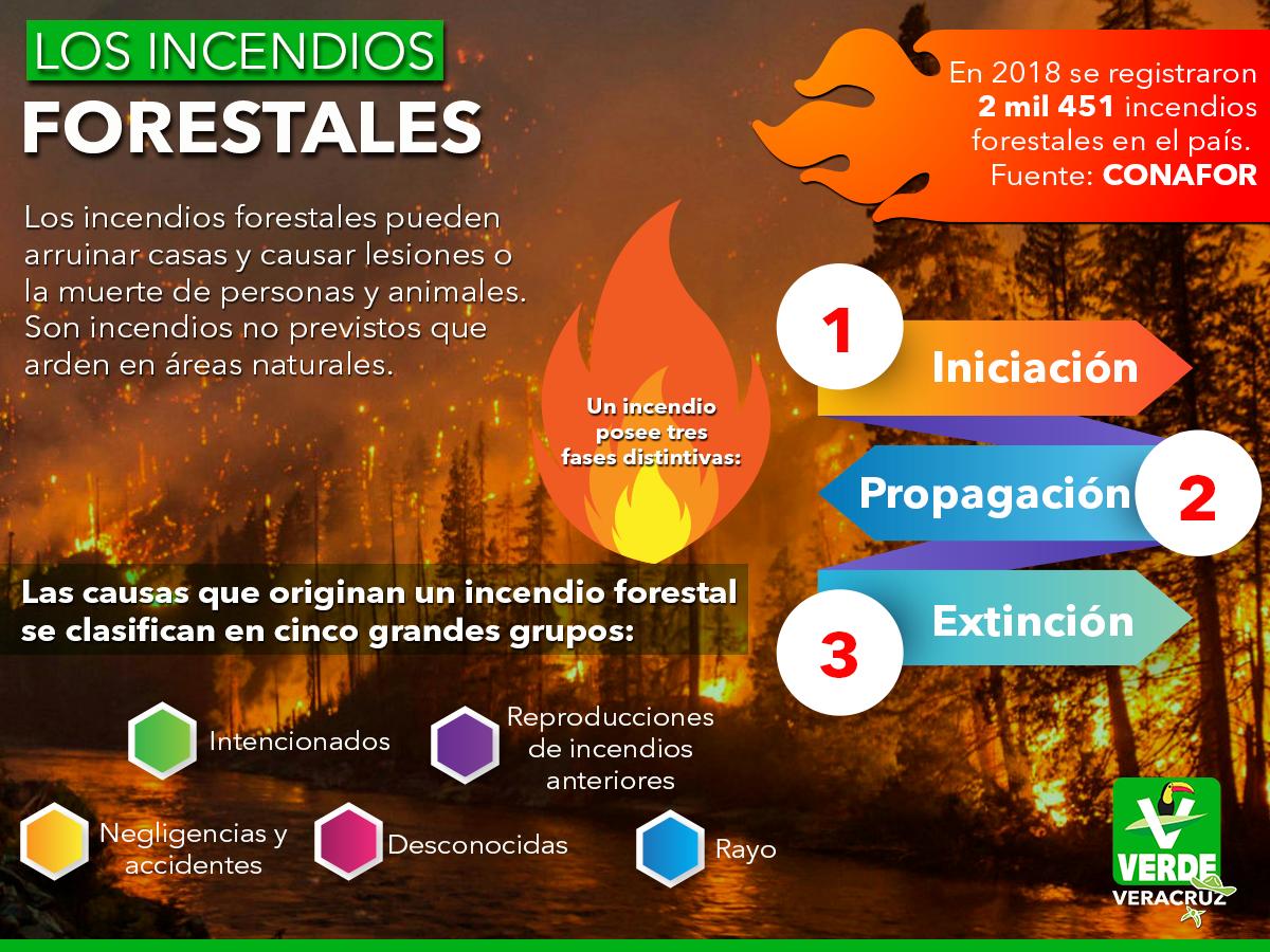 Infografia sobre Incendios Forestales 13265
