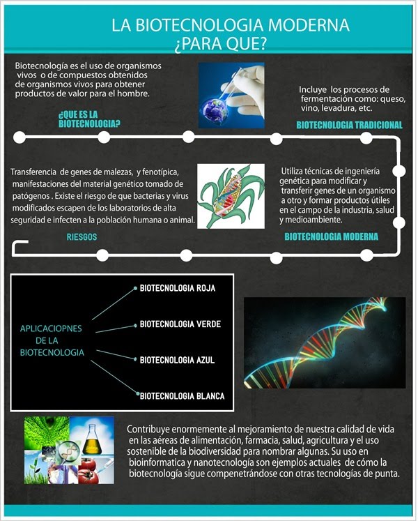 Infografia Sobre Los Tipos De Nanotecnologia 13849