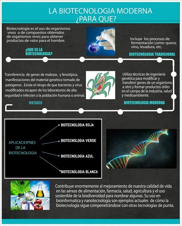 Infografia sobre Los Tipos de Nanotecnologia 13849