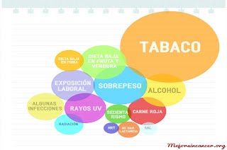 Infografia sobre Mutaciones 13838