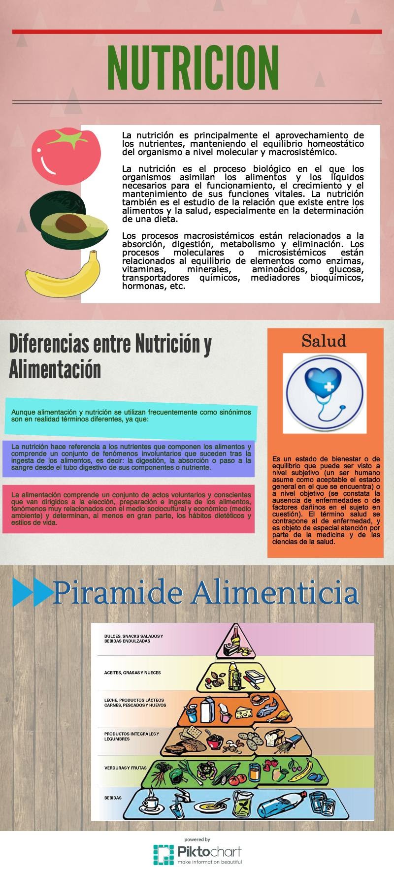 Infografia sobre Nutricion 13841