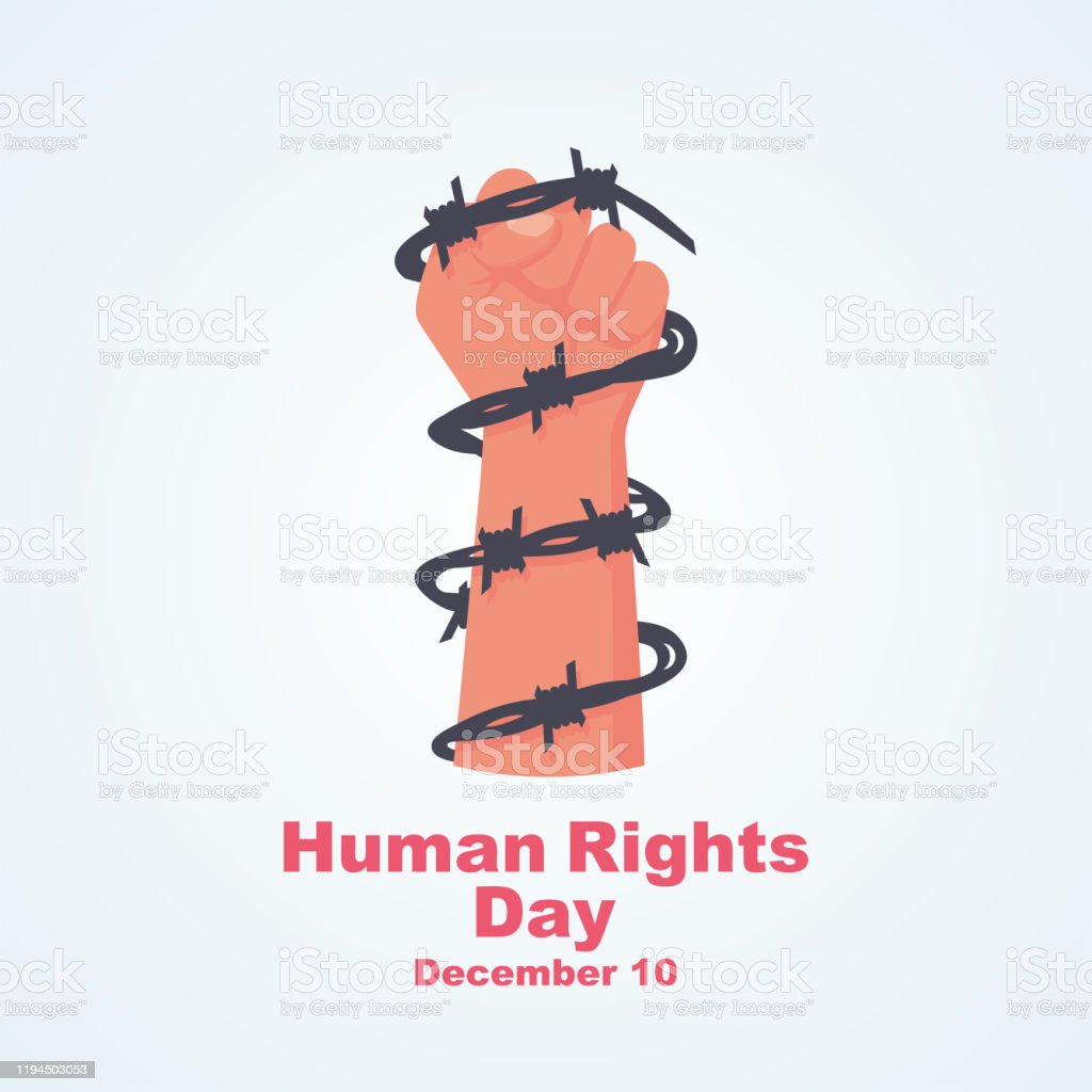 Landing Page sobre Derechos Humanos 14904