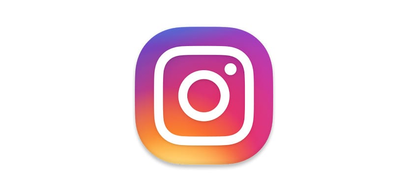 Logo Animado para Instagram 14805