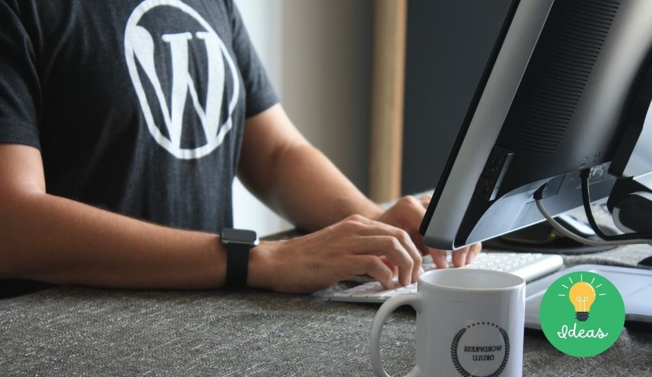 Ganar dinero con experto en WordPress