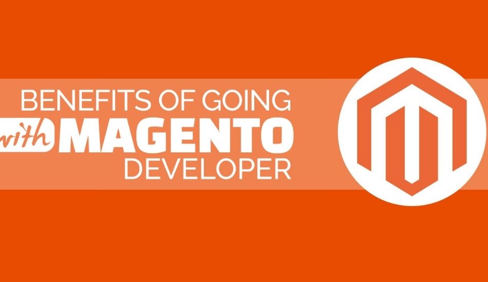 Servicio de Desarrollo Web en Magento