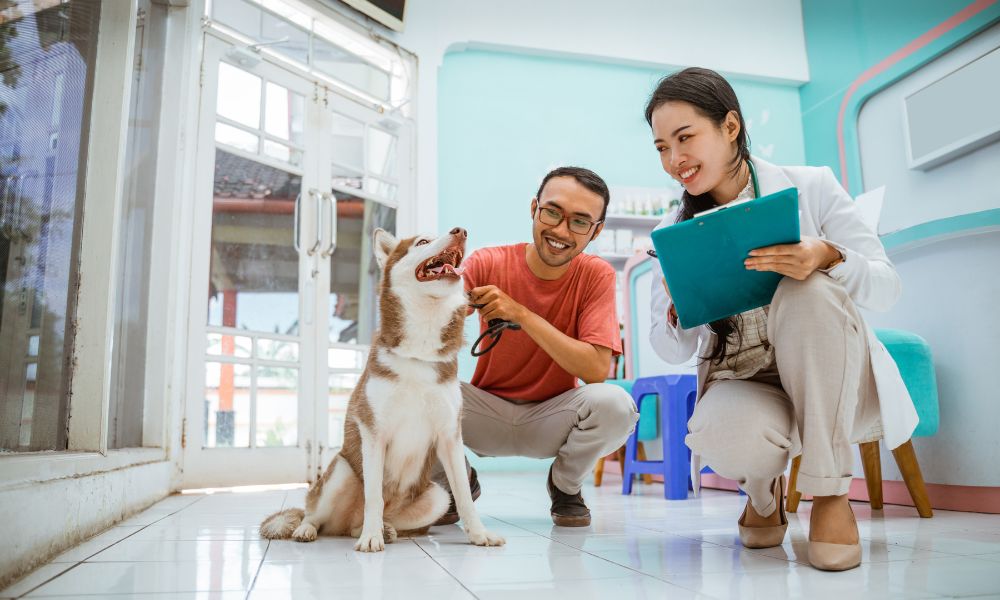 Ideas de marketing para clínicas veterinarias