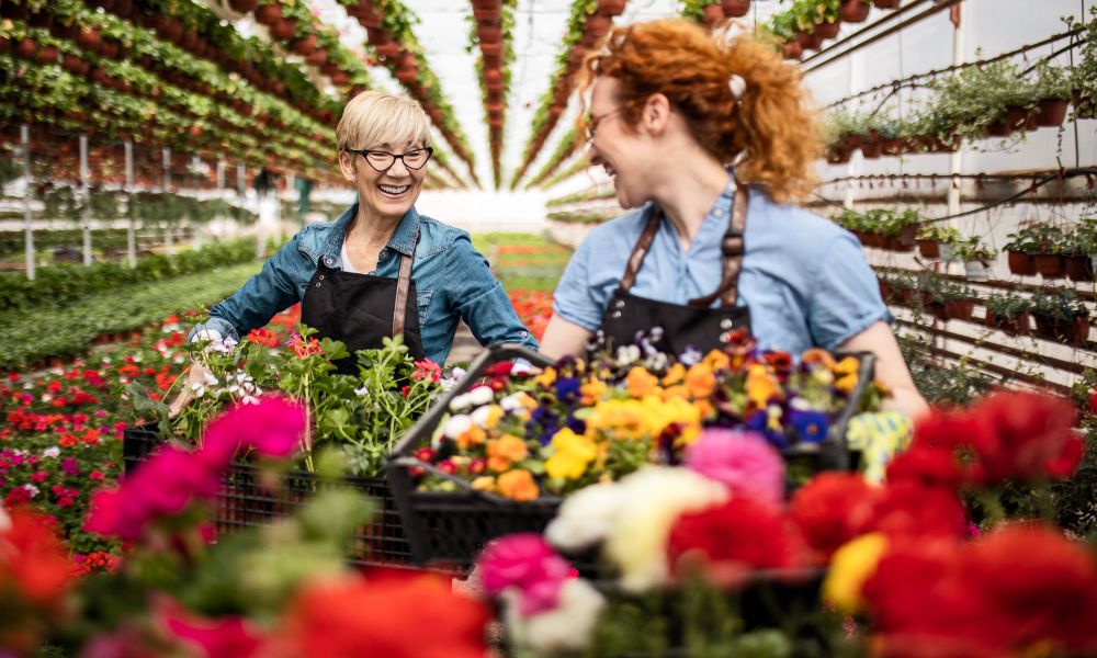 Ideas de marketing para pequenas empresas