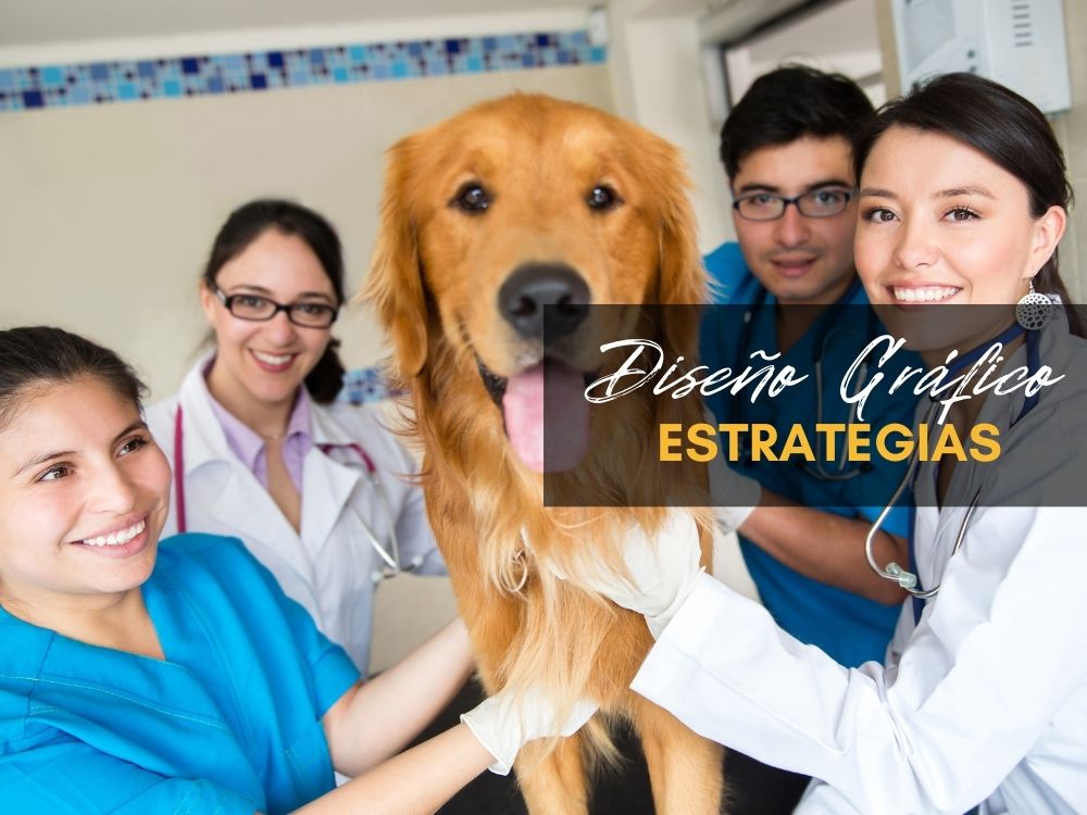 diseño gráfico para clínicas veterinarias
