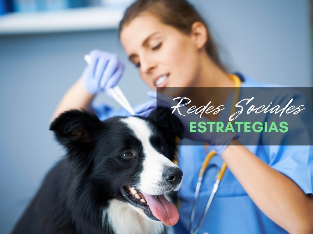 ideas de redes sociales para clínicas veterinarias