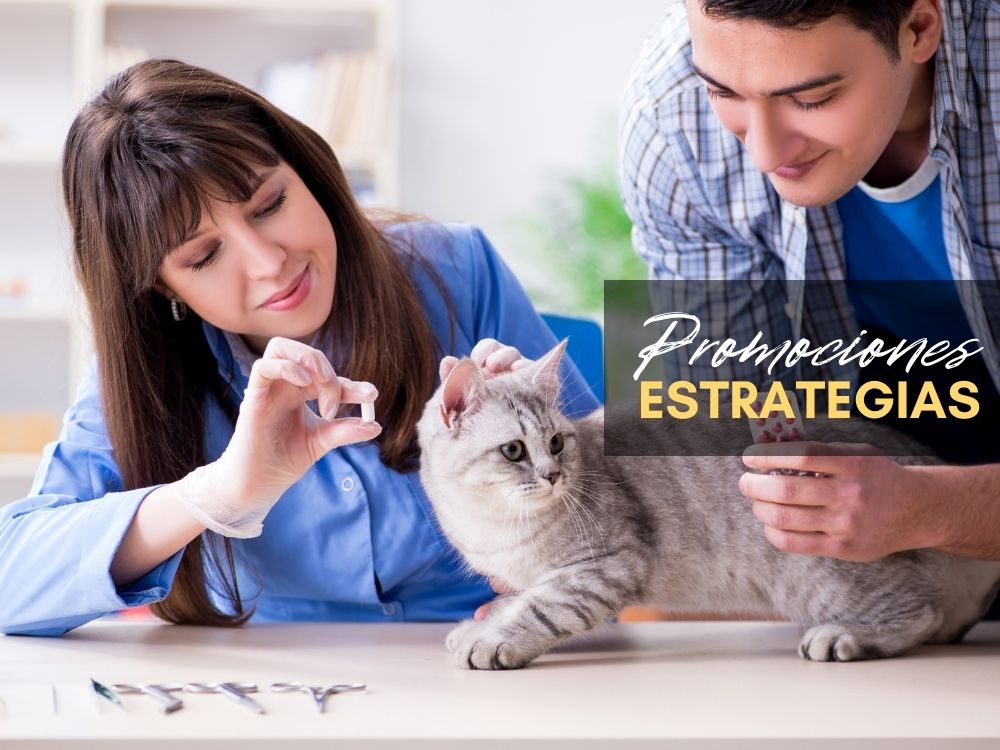 tipos de promociones para clínicas veterinarias